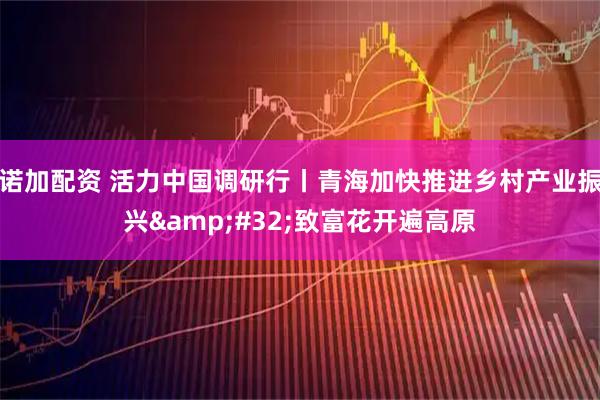 诺加配资 活力中国调研行丨青海加快推进乡村产业振兴 致富花开遍高原