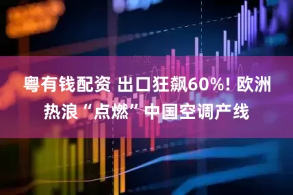 粤有钱配资 出口狂飙60%! 欧洲热浪“点燃”中国空调产线