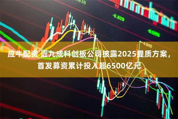 应牛配资 近九成科创板公司披露2025提质方案，首发募资累计投入超6500亿元
