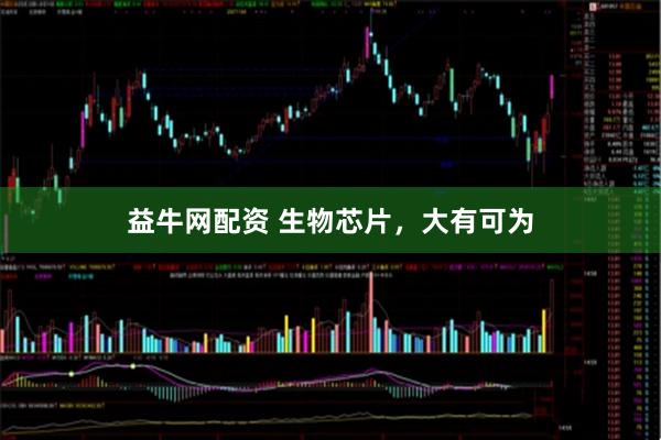 益牛网配资 生物芯片，大有可为